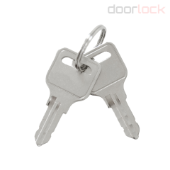 Переключатель режимов с ключом DOORLOCK FSS5 серебристый, 5 режимов