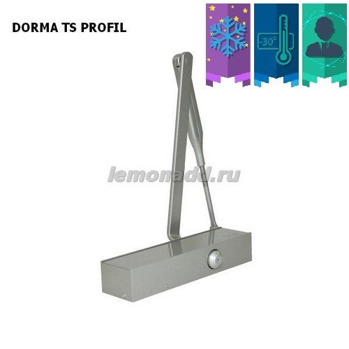 DORMA TS Profil