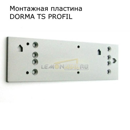 Монтажная пластина для TS PROFIL