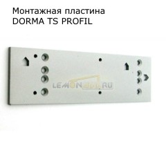 Монтажная пластина для TS PROFIL