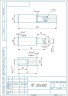 Киров Секрет ПГ-25 (25х120) шарнир-петля под сварку с шариком (16)